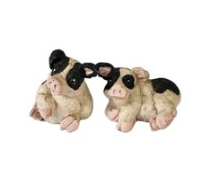 Two miniature black for sale  Searcy