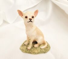 Lovely rare chihuahua d'occasion  Expédié en Belgium
