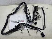 Impianto elettrico malaguti usato  Gambettola