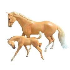 morgan gelding for sale morgan gelding for sale New Windsor