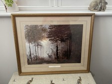 stag print for sale stag print for sale CHELMSFORD