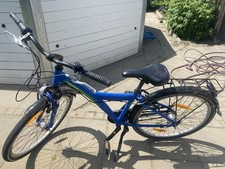 Pegasus fahrrad gebraucht kaufen  Bergfelde