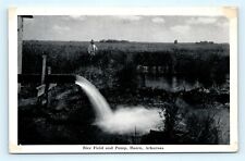 Postcard hazen rice for sale  Walkersville
