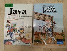 Due libri java usato  Palermo