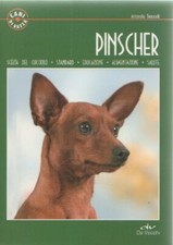 Pinscher antonella tomaselli usato  Diano San Pietro