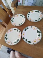 Villeroy boch wild gebraucht kaufen  Michelstadt
