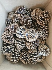 Real grade craft for sale  Lead