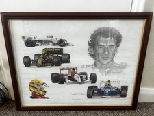 Frame ayrton senna for sale  WISBECH