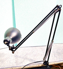 Lampada naska loris usato  Milano