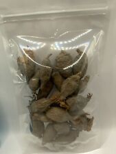 Alligator pepper pods for sale  Chicago