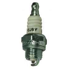 Champion spark plug for sale  BALLYNAHINCH