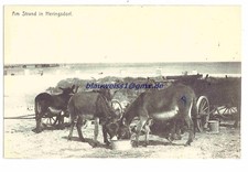 Heringsdorf usedom 1910 gebraucht kaufen  Potsdam