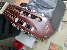 Eko natural chitarra usato  Torino