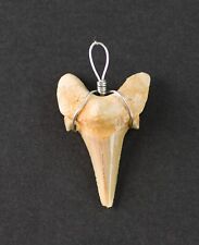 Pendentif dent requin d'occasion  Ardres