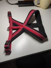 Halti red front for sale  DORCHESTER