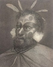 New zealand man d'occasion  Expédié en Belgium
