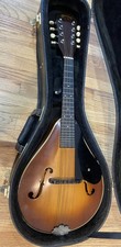 1964 martin mandolin for sale  Wichita
