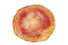 Pizza artificielle plastique d'occasion  France