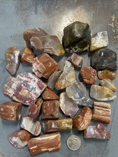 Lbs arizona petrified for sale  Sierra Vista