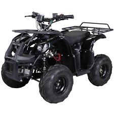 Kinderquad miniquad atv gebraucht kaufen  Breitengüßbach