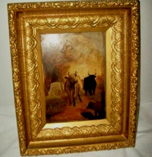 miniature cattle for sale miniature cattle for sale Greeley