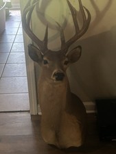 Vintage shoulder mounted for sale  Louisville