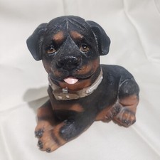 Dog puppy rottweiler for sale  Kansas City