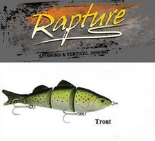 Rapture silent swim usato  Mirandola