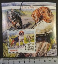 Guinea 2016 hunting for sale  NOTTINGHAM
