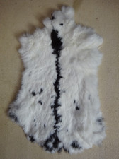 Großes hasenfell weiss gebraucht kaufen  Naundorf, Mügeln