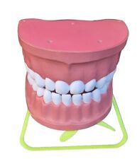 Dentiera robusto modello usato  Asti