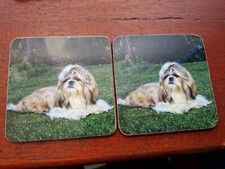 Shih tzu coaster for sale  RICHMOND