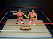 Wwe hart foundation for sale  Concord