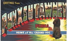 Punxsutawney ground hog for sale  Tuxedo Park