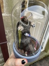 Taxidermy for sale  ROSSENDALE