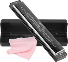 Armonica bocca harmonica usato  Roma