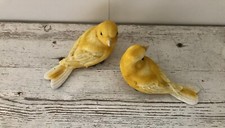 2er set kanarienvogel gebraucht kaufen  Sottrum