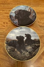 Black labrador plates for sale  CHELTENHAM