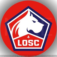 Losc lille décoration d'occasion  Freyming-Merlebach