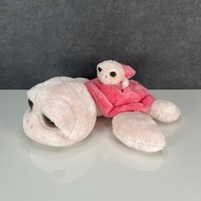 Suki coral turtle for sale  ROTHERHAM