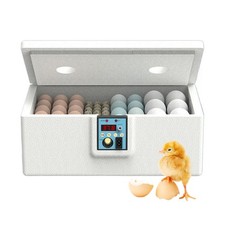 Incubator eggs chicken for sale  LICHFIELD
