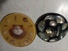 Vintage 1960 abalone for sale  Shelbyville
