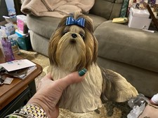 Danbury mint shih for sale  Manheim