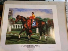 Fusaichi pegasus winner for sale  Louisville
