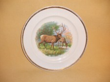 Antique buffalo pottery for sale  Buffalo