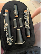Clarinetto grassi usato usato  Sant Egidio Alla Vibrata