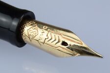 Omas 555 extra usato  Valvestino