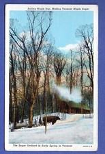 Boiling maple sap for sale  The Villages