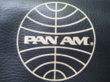 Pan airways flight for sale  Amenia