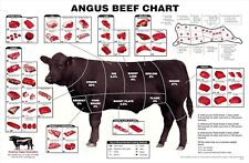 Angus beef chart for sale  Loveland